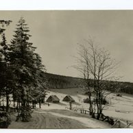 E 12175 - Krkonoše