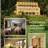 F 13299 - Holčovice