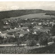 E 13725 - Boleradice