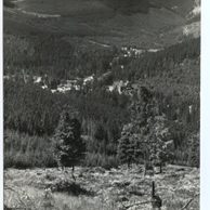 E 13810 - Karlova Studánka