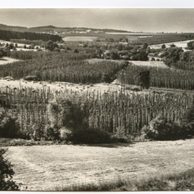 E 42538 - Pozdrav z česání chmele