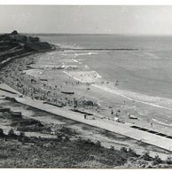 Ostatní cizina - 40548