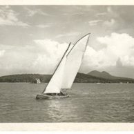 D 14368 - Máchovo  jezero