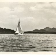 D 14395 - Máchovo  jezero