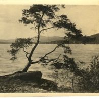 D 14397 - Máchovo  jezero