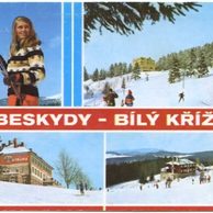 F 14854 - Beskydy
