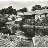 E 40262 - Křelovice 