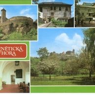 F 17236 - Kunětická Hora