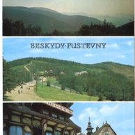F 17310 - Beskydy
