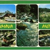 F 17877 - Šumava