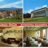 F 17973 - Šumava
