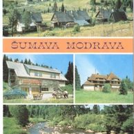 F 17984 - Šumava