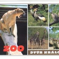 F 41474 - Dvůr Králové nad Labem 