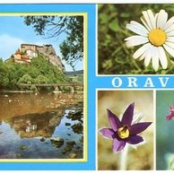 Orava - 39994