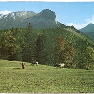 Belanské Tatry - 39981