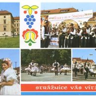 F 41174 - Strážnice 