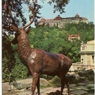 F 18491 - Karlovy Vary