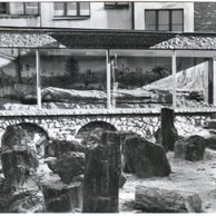 E 19217 - Nová Paka