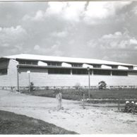 E 19291 - Mikulčice