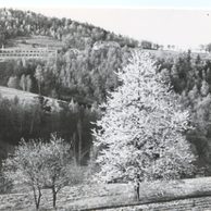 E 19606 - Frenštát pod Radhoštěm