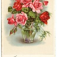 C 38564 - Srdečné blahopřání k narozeninám