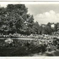 D 19988 - Ústí nad Labem