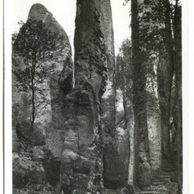 D 20047 - Český Ráj