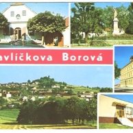F 20271 - Borová