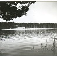 D 20339 - Hradec Králové