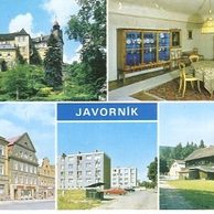 F 20745 - Javorník
