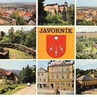 F 20753 - Javorník