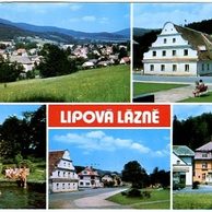 F 20768 - Lipová