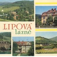 F 20773 - Lipová