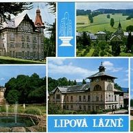 F 20780 - Lipová