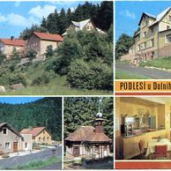 F 21050 - Podlesí u Dolního Žandova