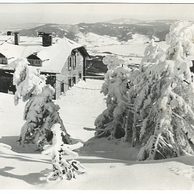 E 21655 - Jeseníky2