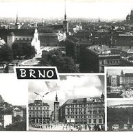 D 002139 - Brno