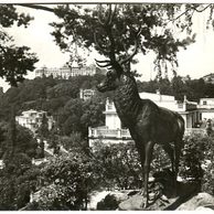 E 23239 - Karlovy Vary 3