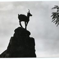 E 23252 - Karlovy Vary 3