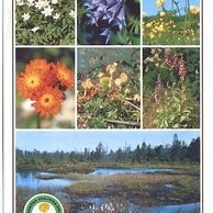 F 23861 - Jizerské hory