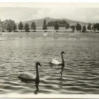 D 24585 - Lázně Kundratice