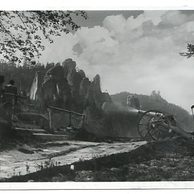 D 25239 - Adršpašské skály