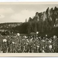 D 25238 - Adršpašské skály