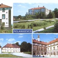 F 25705 - Nelahozeves