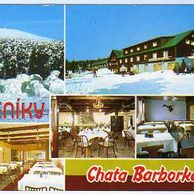 F 44377 - Jeseníky2 