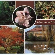 F 26078 - Bílá Lhota