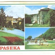 F 26113 - Paseka