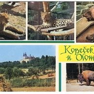 F 26199 - Sv. Kopeček