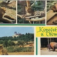 F 26200 - Sv. Kopeček