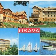 Orava - 39978